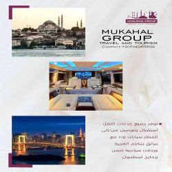 توصيل من وإلى المطار, سيارات vip