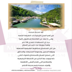 أهم المدن التركية
