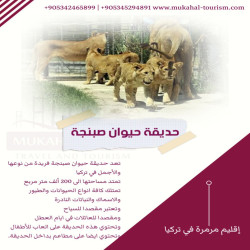 فريدة من نوعها والأجمل في تركيا