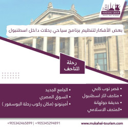 بعض الأفكار لتنظيم رحلات سياحية داخل اسطنبول