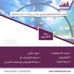 بعض الأفكار لتنظيم رحلات سياحية داخل اسطنبول