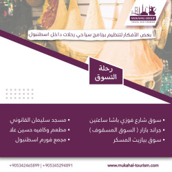بعض الأفكار لتنظيم رحلات سياحية داخل اسطنبول